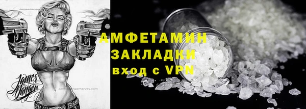 прущие грибы Медвежьегорск