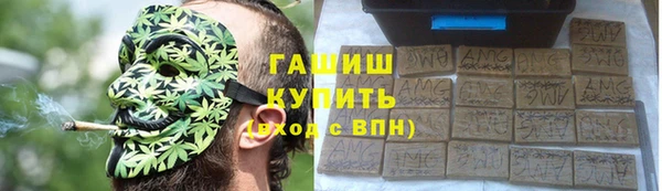 прущие грибы Медвежьегорск
