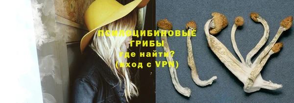 первитин Медногорск
