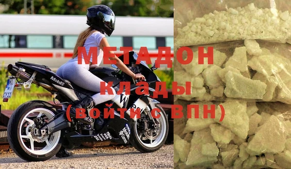прущие грибы Медвежьегорск