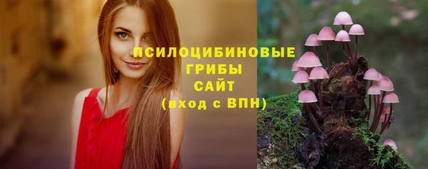 прущие грибы Медвежьегорск