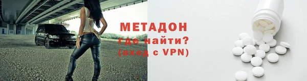 прущие грибы Медвежьегорск