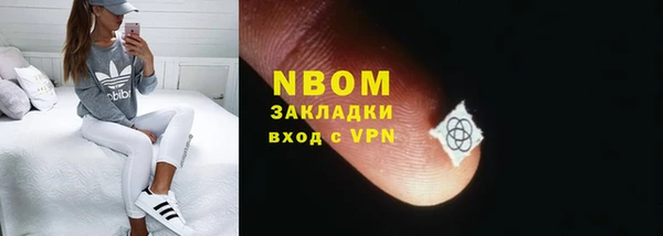 прущие грибы Медвежьегорск