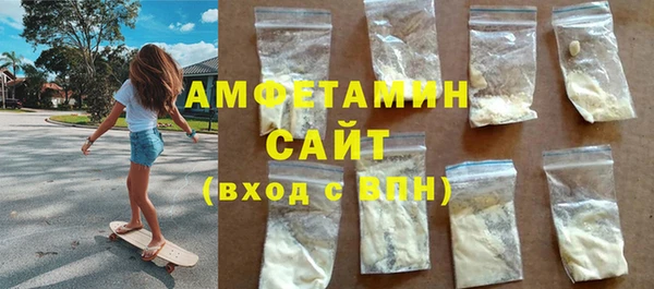 прущие грибы Медвежьегорск