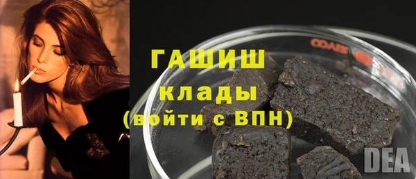 прущие грибы Медвежьегорск