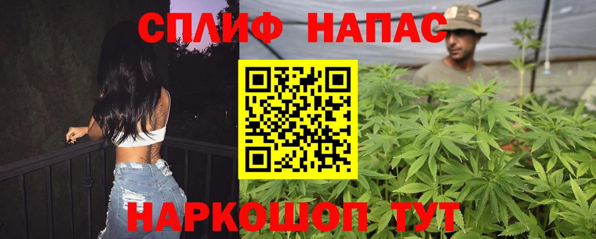 Бошки Шишки конопля Добрянка